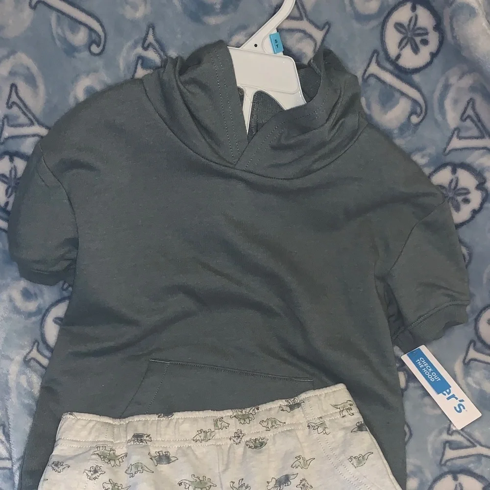 Carter's Hoodie Sweatshirt and shorts set